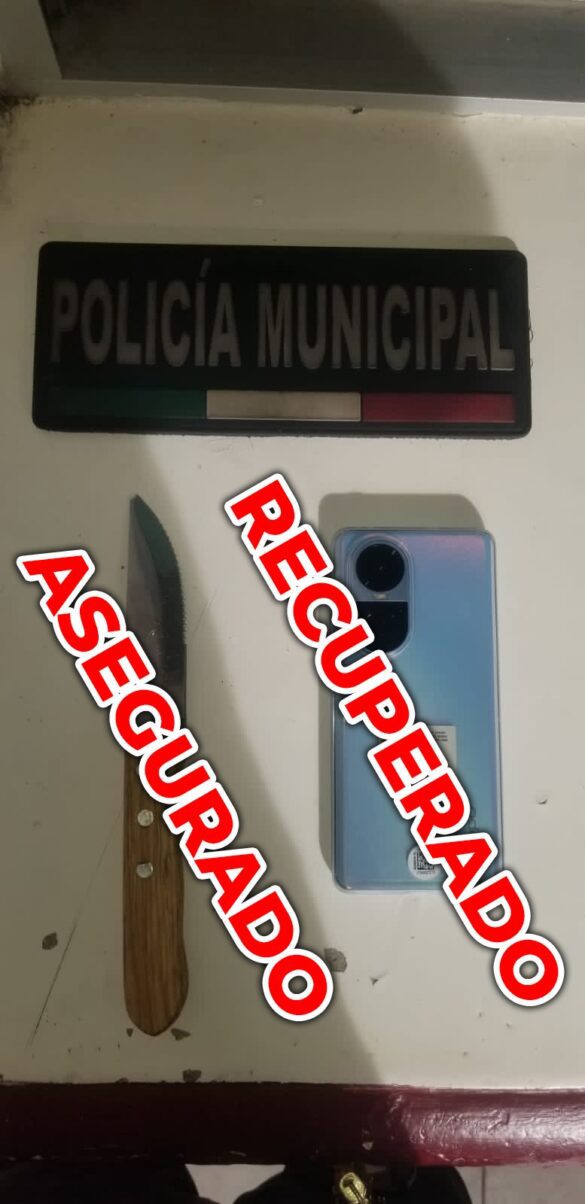 Detiene la Policía Municipal de Salamanca a un Presunto Ladrón |