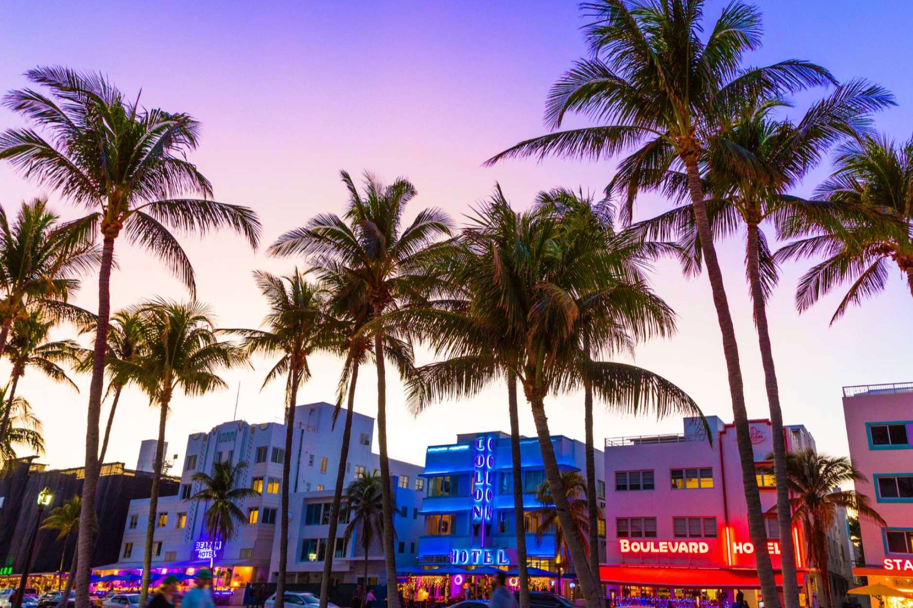 La experiencia VIP en las discotecas más exclusivas de Miami este verano